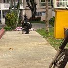 El cuerpo de uno de los menores quedó en el lugar.