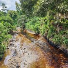 Río Viche, en Esmeraldas.