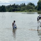 Existen nuevos requisitos para quienes quieran acceder al bono Incentivo Emprende.