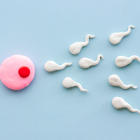 La simulación del recorrido espermático se hará en un chip microfluídico, la pista de carreras más pequeña del mundo.