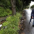 Muchos prefieren ir por la calle, para no arriesgarse a caer por el parterre.