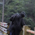 El hecho ha conmocionado a los quiteños.