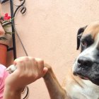 LUIS ANTONIO RUIZ

AG-EXTERNOS