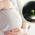 Mujer que asegura haberse embarazado de un extraterrestre