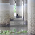 Ciudadanos y autoridades locales ya habían alertado sobre el deterioro del puente desde 2022.