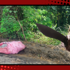 El cuerpo de la víctima fue encontrado al interior de un saco, lo que evidenciaría un intento por ocultarlo.