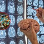 El plástico, antes problema ambiental, se convierte en una amenaza interna para el cuerpo humano.