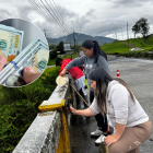 Ciudadanos del programa Jóvenes en acción realizan labores de limpieza y pintado de puentes.