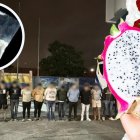 Los detenidos fueron puestos a disposición de las autoridades judiciales.