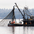 Se elimina el subsidio del diésel para el sector pesquero en Ecuador.