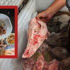 Este fue uno de los cráneos sin identificar que encontró Arcsa en ese comedor. / Guiso servido en el comedor clausurado, junto a cenicero con colillas de cigarro.