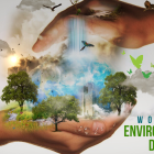 La restauración de ecosistemas es clave para enfrentar el cambio climático y proteger la vida silvestre.