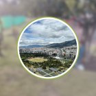 El hombre, de 43 años, fue hallado semisuspendido en un árbol de La Carolina, norte de Quito.