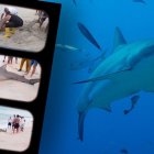 El hecho ocurrió en la playa de Crucita, ubicada en la provincia de Manabí.