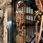 La historia del gigante de Loja sigue viva fuera del país, mientras en Ecuador cae en el olvido.