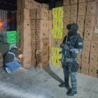 Las sustancias sujetas a fiscalización estaban ocultas en cajas de banano.