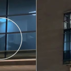 Las dos personas fueron captadas en pleno acto sexual, en Chile.