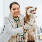 Conoce como acceder al servicio de esterilización gratuita de Municipio de Guayaquil.