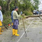 El tránsito fue interrumpido brevemente por la caída de un árbol tras el movimiento telúrico.