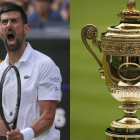 El GOAT Serbio del tenis probablemente  cuelgue su raqueta definitivamente