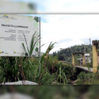 La colaboración entre Enami y Codelco comenzó en noviembre de 2014, con el propósito de llevar adelante el proyecto minero Llurimagua.