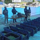 Los agentes hallaron la droga en gavetas plásticas y descubrieron piezas de armas impresas en 3D, ocultas en una hacienda de Vilcabamba.