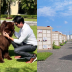 Un perro de raza Terranova es el encargado de animarles el día a personas que visitan a familiares que ya no están con ellos