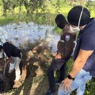 La policía desenterró el cuerpo que tenía cerca de un mes sepultado.