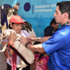 Guayaquil refuerza el rescate y protección de animales víctimas de maltrato, abandono o negligencia.