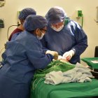 Imagen del equipo médico del Municipio de Guayaquil interviniendo a uno de los menores beneficiarios del programa de cirugías gratuitas por labio leporino y paladar hendido.