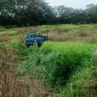 El ataque hizo que perdiera el control del vehículo y este terminó en la cuneta.