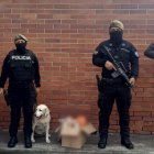 La can Ruth encontró un cargamento de 11 kilogramos de droga escondidos en alimentos.