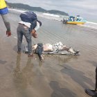 El cuerpo de un hombre fue hallado la tarde de este viernes en la playa de Atacames, en el sur de Esmeraldas.