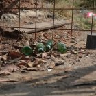 La balacera se produjo en Bastión Popular y dejó personas fallecidas.