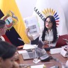 Viviana Veloz, presidenta de la Comisión de Protección Integral a Niñas, Niños y Adolescentes fue la encargada de dirigir esta sesión.