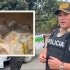 El oficial es investigado por una presunta infracción relacionada con la sustracción de material aurífero.