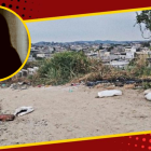 Adolescente hallada en sacos residía en el suroeste de Guayaquil.