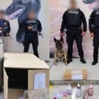 Operativos en agencia de courier y aeropuerto de Quito permitieron decomisar cocaína líquida y droga compacta.