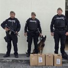 El perro antidrogas Yzma detectó dos cajas con drogas en una empresa de encomiendas.