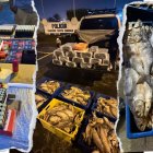 Las balas estaban camufladas en pescado. El hallazgo se hizo en Santo Domingo.