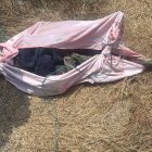 Jackson Stalin Arroyo Cabeza, de 41 años, estaba desaparecido desde el martes 2 de septiembre.