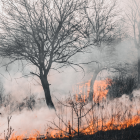 En 2024, Quito registró 340 incendios forestales que afectaron más de 2.200 hectáreas en zonas sensibles de la ciudad.