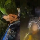 El joven pescador fue sorprendido por la enorme anaconda mientras buscaba un pez.