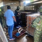 En una área del predio había un sistema de bombeo.