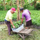 El incentivo busca mejorar la calidad de vida de los productores agropecuarios y fortalecer la economía rural.