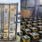 Las autoridades rusas se encuentran realizando las investigaciones para esclarecer el hecho y encontrar a los responsables.