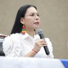 La presidenta del CNE, Diana Atamaint, en una sesión del Pleno del CNE.