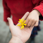 El 21 de septiembre es el día ideal para regalar flores amarillas.