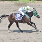 Muchacho, con 55 kilos de peso y llevado por el jinete Jonathan Tejada aparece como primer gran favorito.