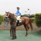 Luis Hurtado, jinete del caballo Koksal, se llevó por segunda vez el premio Clásico Diario EXTRA, junto a su preparador Adrián Roncancio.